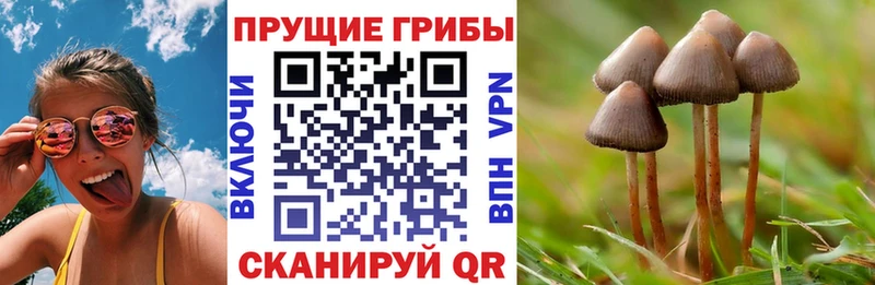 Псилоцибиновые грибы GOLDEN TEACHER Задонск