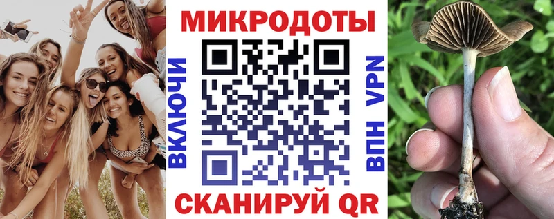 Псилоцибиновые грибы прущие грибы Задонск